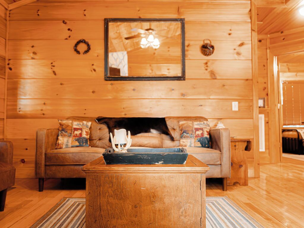 Smart TV, fireplace, DVD player, books