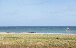 Vlak bij het strand, vissen