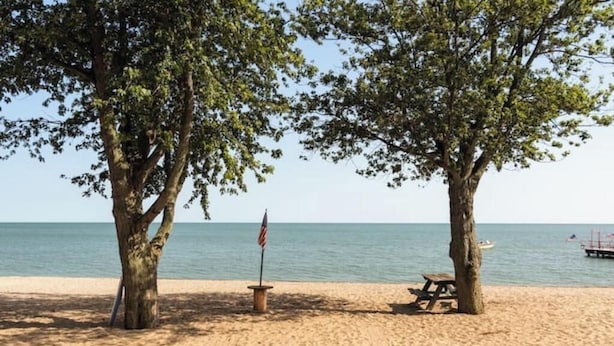 Een strand met twee bomen, een picknicktafel en een vlag.