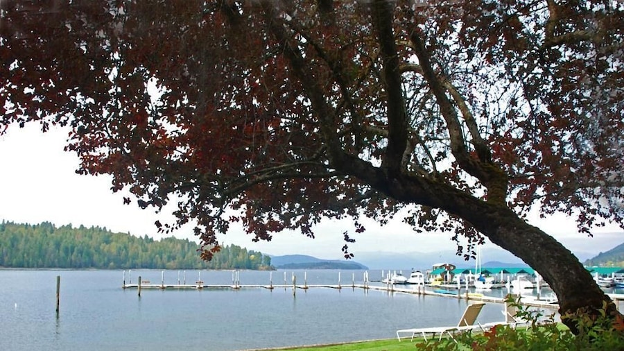 Pend Oreille Shores Resort
