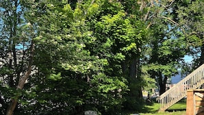 Un área de picnic con una mesa y sillas de madera, rodeada de abundante vegetación y árboles.