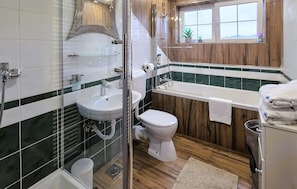 Shower, hair dryer