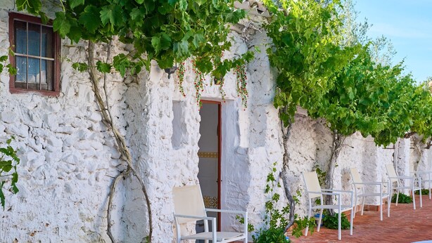 A white stone building with a wooden door, vines, and white chairs on a brick path. - Spacious Cortijo in Lucena, Andalusia - 6 Bedrooms with Mountain Views (Lucena)