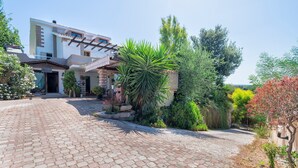Une maison moderne avec une allée pavée, une pergola et diverses plantes.