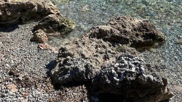 On peut clairement voir une côte rocheuse bordée d’une mer calme.
