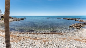 Una playa con agua cristalina, piedras y una palmera.