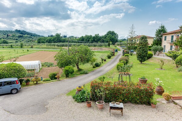 A rural road leading to a house surrounded by greenery and a greenhouse.