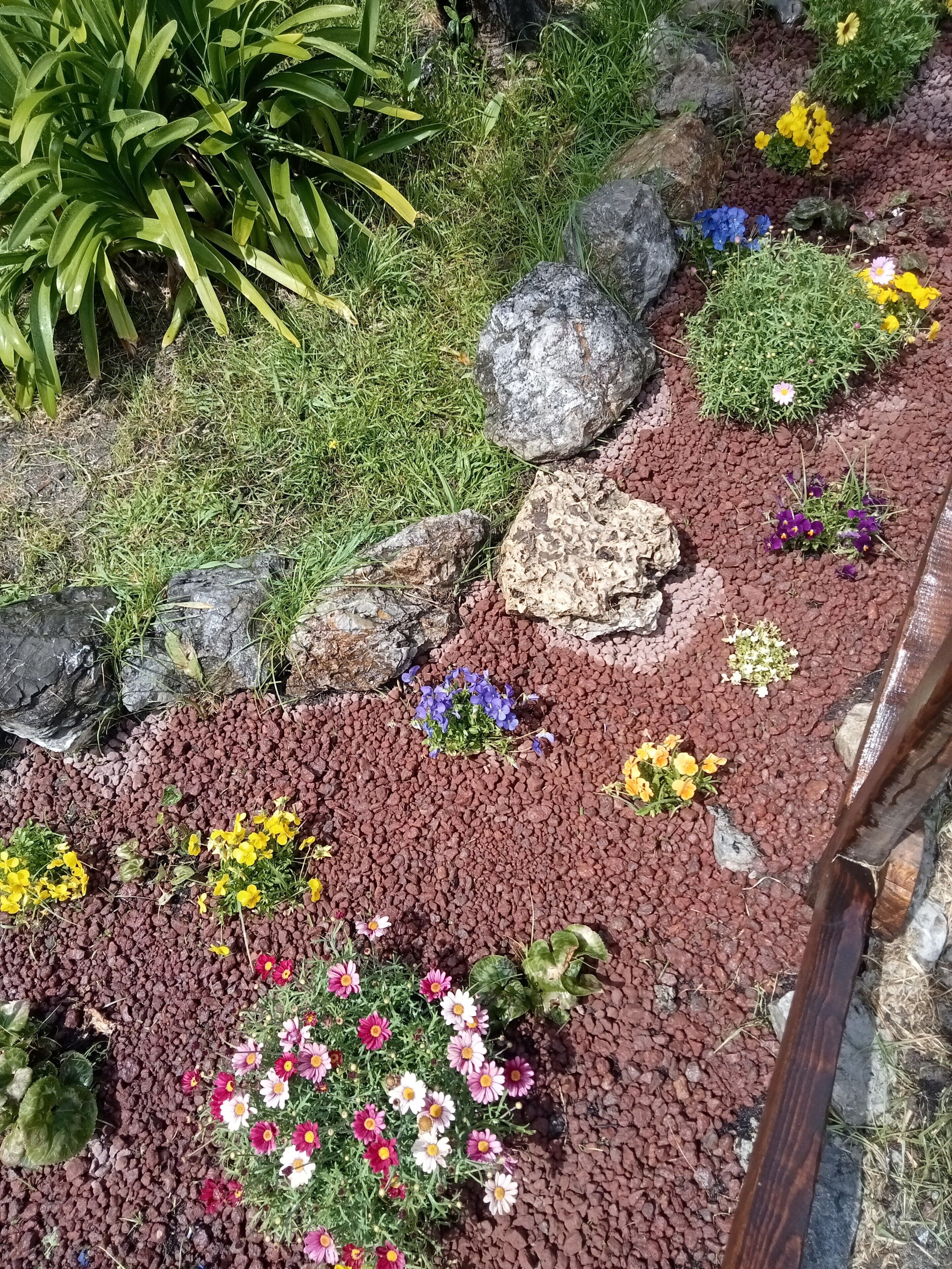 A garden with various plants and flowers, rocks, and a wooden structure.