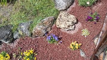 A garden with various plants and flowers, rocks, and a wooden structure.