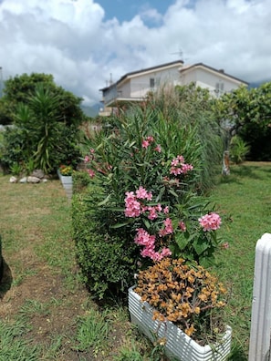 A garden with various plants and a house in the background. - Holiday Home 'Casetta Esmeralda' with Sea View, Private Terrace and Wi-Fi (Tortora Marina)