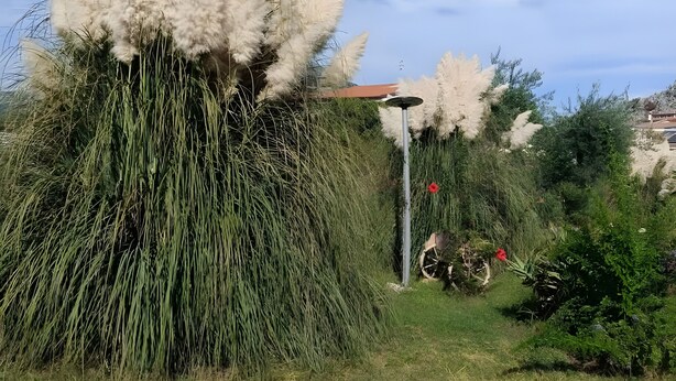 A garden with tall grasses, a lamp post, and a building in the background. - Holiday Home 'Casetta Esmeralda' with Sea View, Private Terrace and Wi-Fi (Tortora Marina)