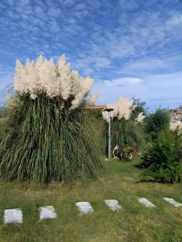 Holiday Home 'Casetta Esmeralda' with Sea View, Private Terrace and Wi-Fi