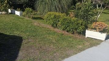 Uma área residencial com um caminho pavimentado, gramado e diversos arbustos e plantas.