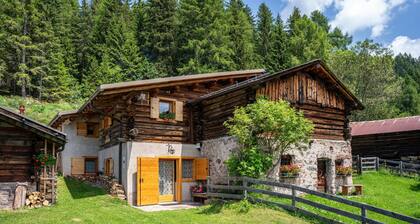 Chalet "Baita Naibiz" avec vue sur les montagnes, terrasse privée et Wi-Fi