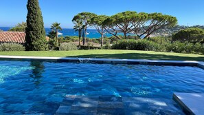 Piscina con vista al mar, rodeada de follaje y árboles.
