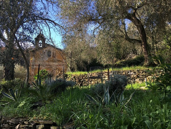 المنطقة المحيطة بالمنشأة