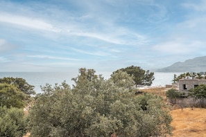 A coastal landscape with a stone building, dense greenery, and a clear view of the sea.