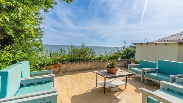 Un patio con mobiliario exterior, una mesa y una planta en maceta.