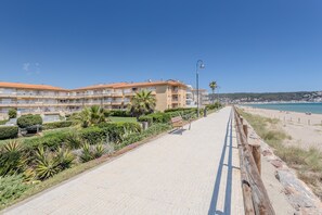 A coastal hotel with a paved walkway, palm trees, and a view of the beach.