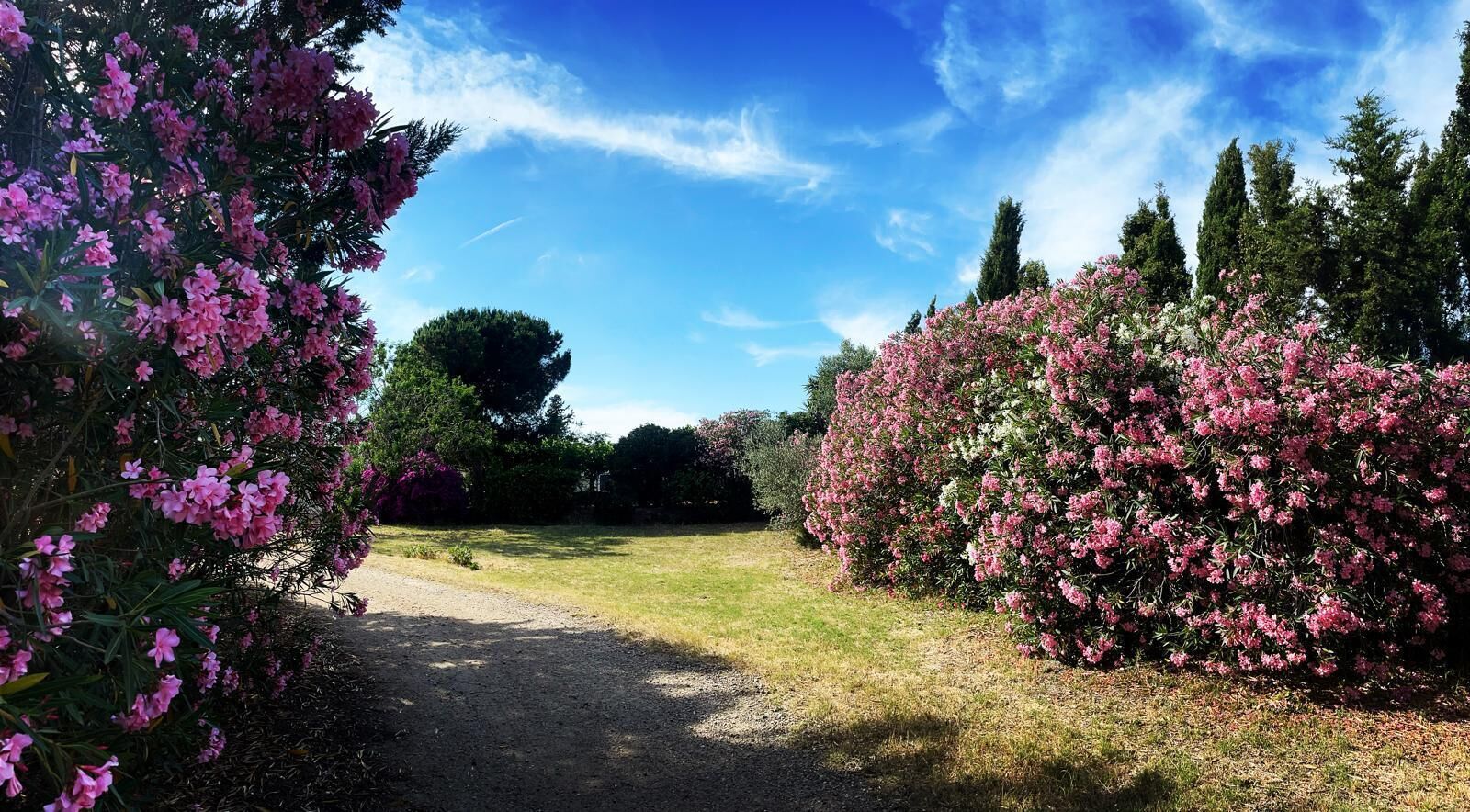 Terrein van de accommodatie