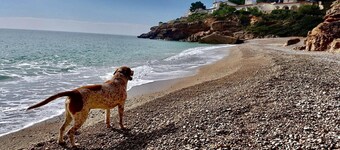 Holiday Home 'Can Wancho' with Mountain View, Private Pool and Air Conditioning