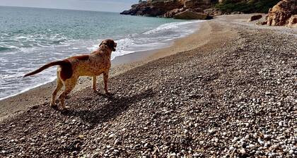 Maison de vacances 'Can Wancho' avec vue sur les montagnes, piscine privée et climatisation
