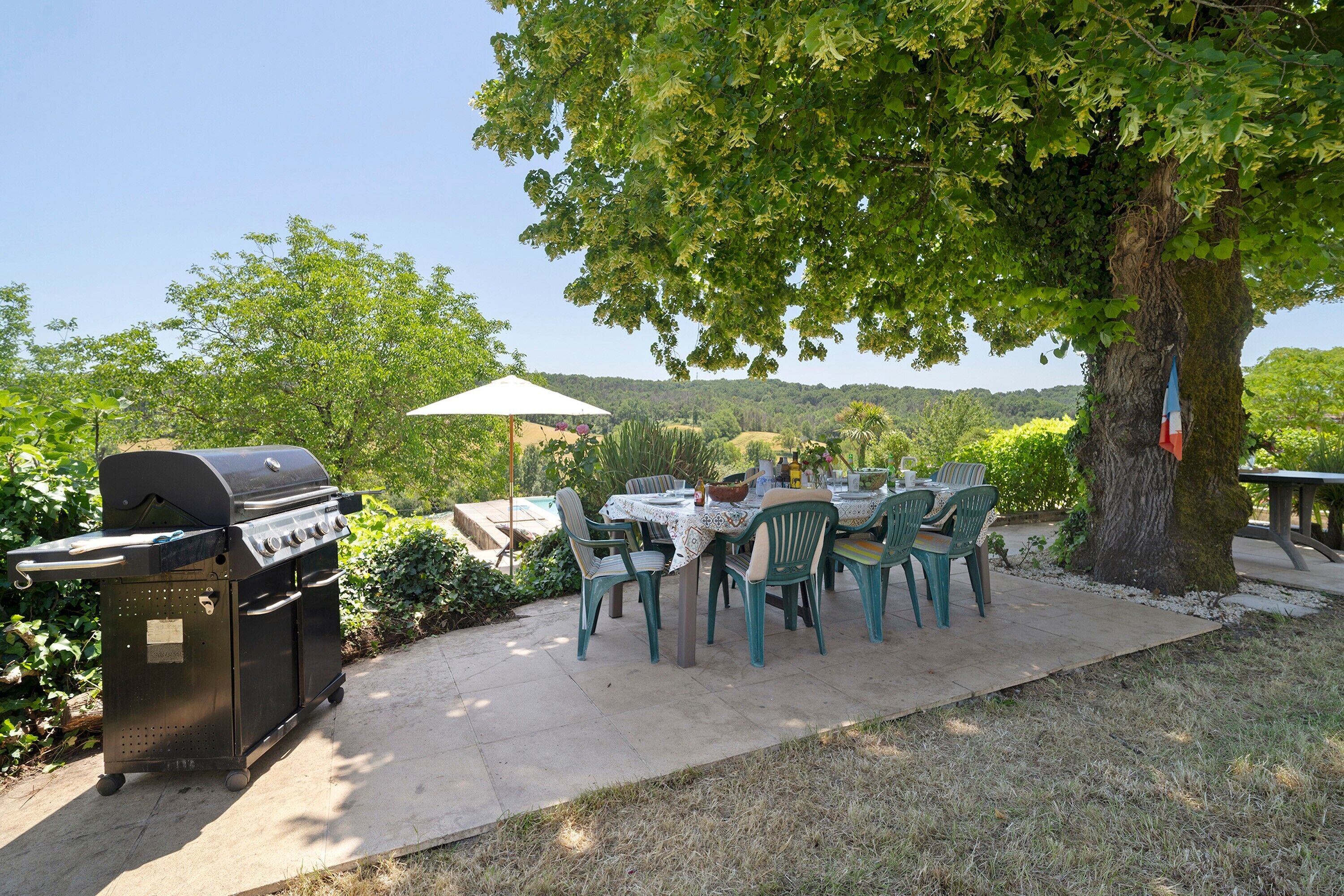 A barbecue grill, outdoor table, chairs, and a tree in a backyard setting.