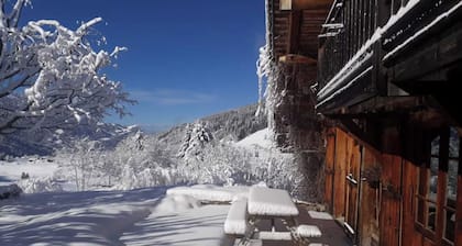Chalet 'Le Vieux Madrier' mit Seeblick, privater Terrasse und WLAN
