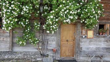 DĂ©tail de lâextĂ©rieur