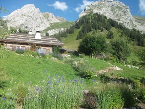 Property grounds - Chalet 'Le Vieux Madrier' with Lake View, Private Terrace and Wi-Fi (La Clusaz)