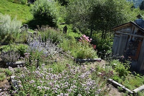 Un jardin avec différentes espèces de plantes et une structure en bois.