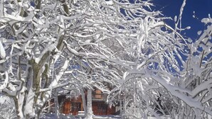 A snow-covered landscape with a wooden building, likely a lodge, surrounded by trees.