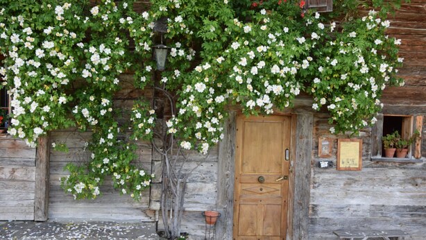 A rustic wooden building with a wooden door and a bench outside.