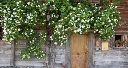 Chalet 'Le Vieux Madrier' avec vue sur le lac, terrasse privée et Wi-Fi