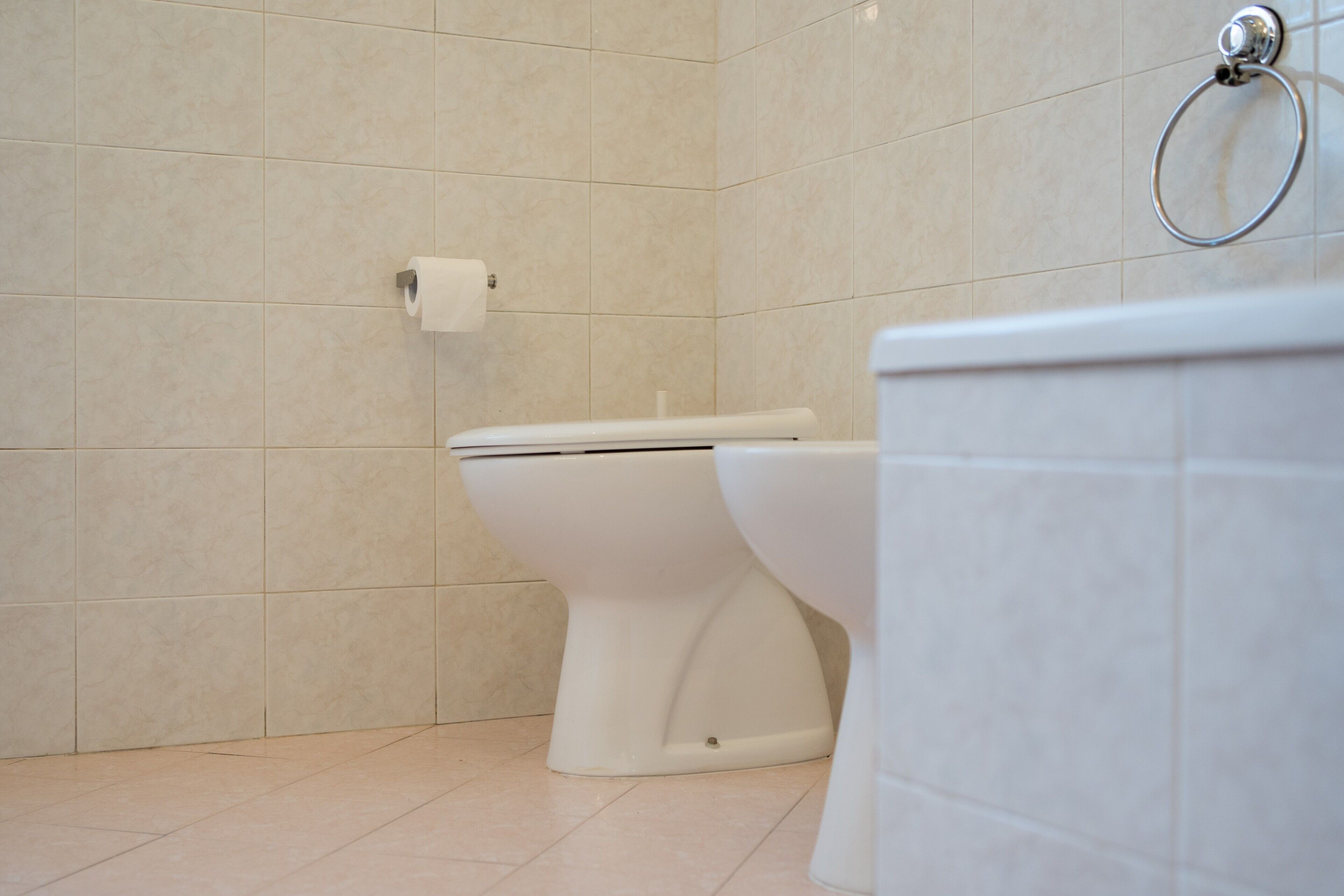 A bathroom with a toilet, a toilet paper holder, and a towel ring on the wall.