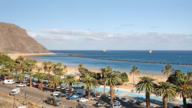 A coastal parking area with vehicles, palm trees, and a beach in the background.