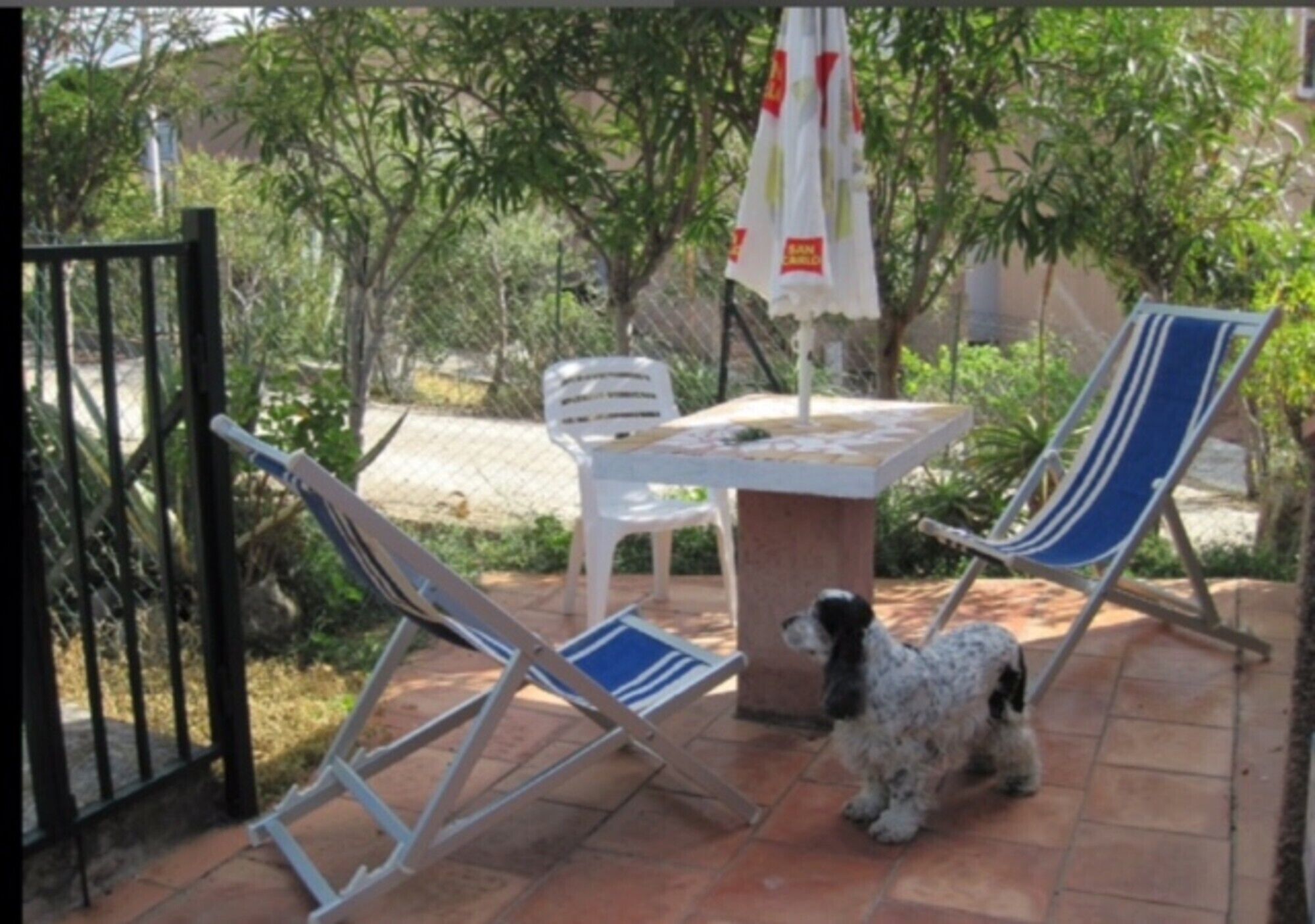 Un patio con tavolo, due sedie e un cane.
