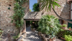 An outdoor pathway with a stone wall, potted plants, and a palm tree.