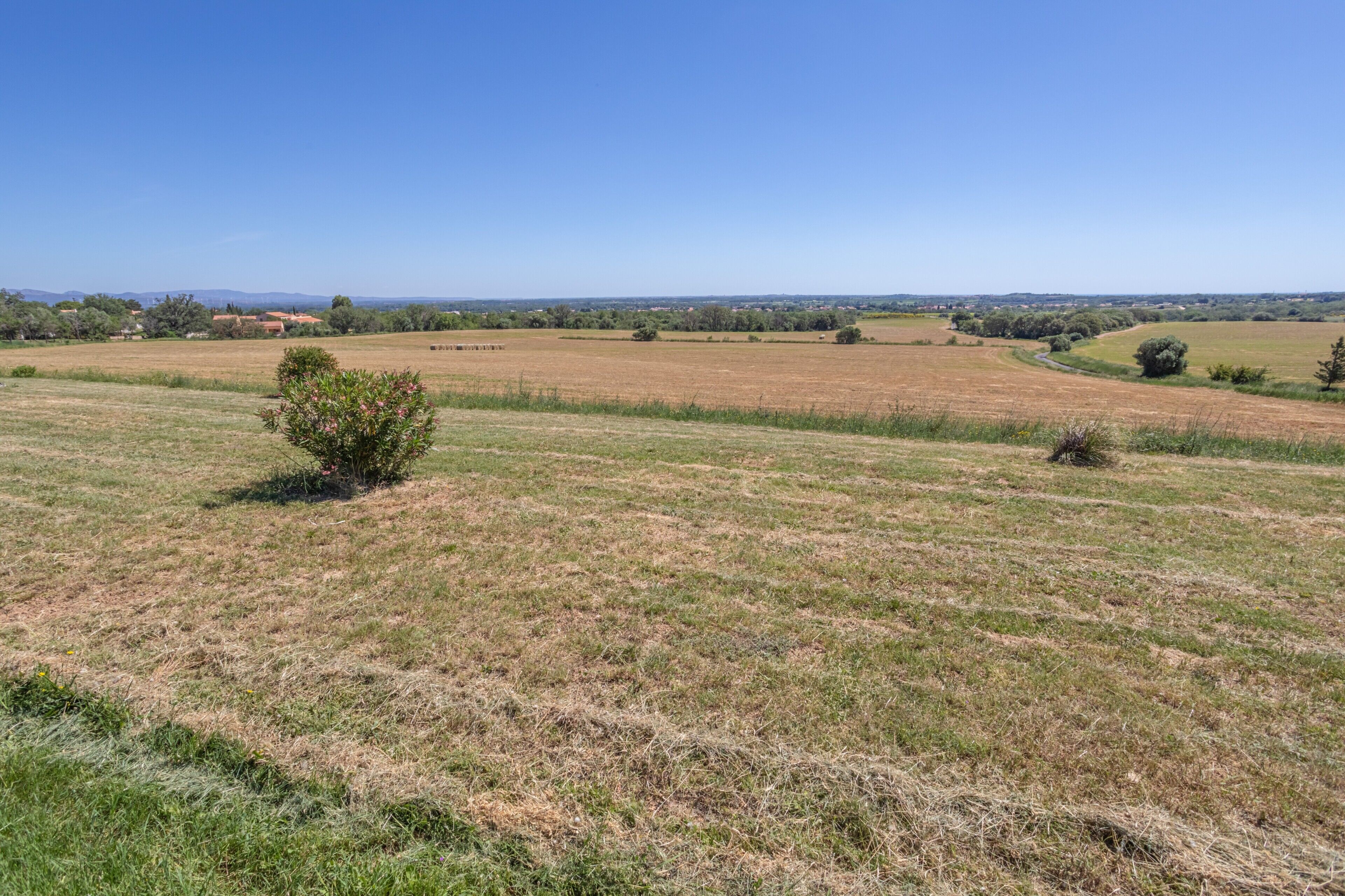 Un paysage rural caractérisé par de vastes champs ouverts, quelques arbres épars et un ciel bleu dégagé.