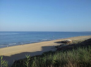 Playa en los alrededores 