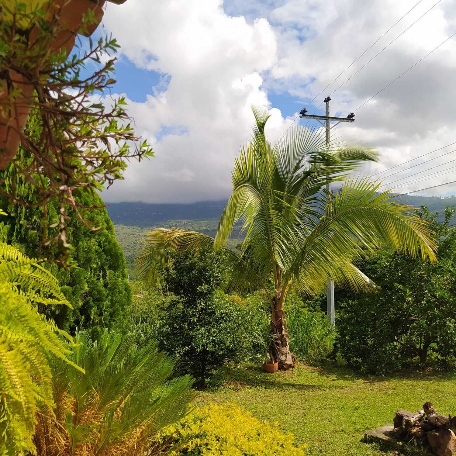 Vista frontal de la propiedad