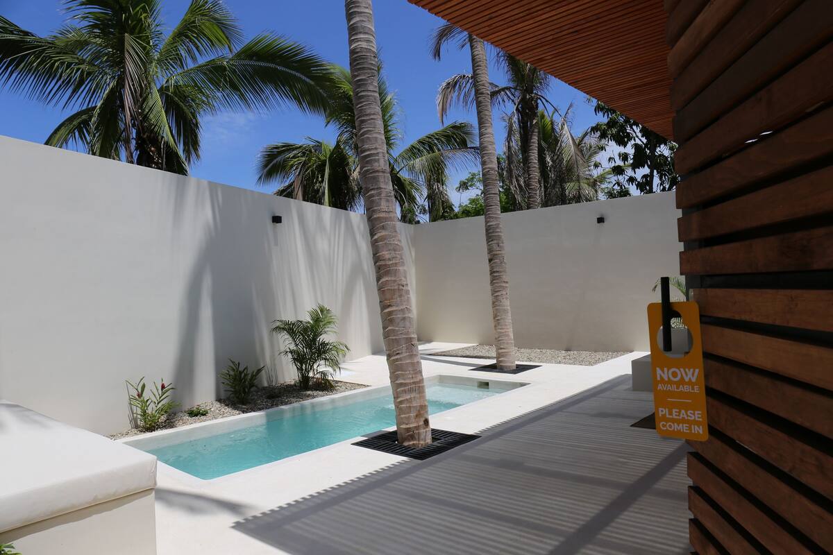Ein Poolbereich mit weißen Wänden, Palmen und einer Holz-Pergola.