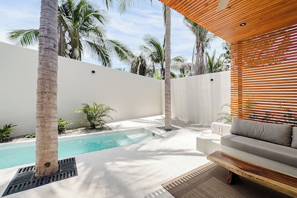 LOTO | Living area | 50-inch flat-screen TV with digital channels, TV