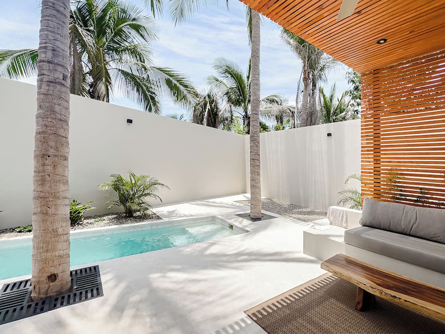 A modern outdoor pool area with a white wall, palm trees, and a wooden bench.