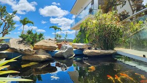A modern building with a glass facade, a koi pond with rocks and plants, and a clear blue sky.