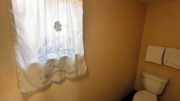 Secadora de cabello, toallas, jabón, shampoo