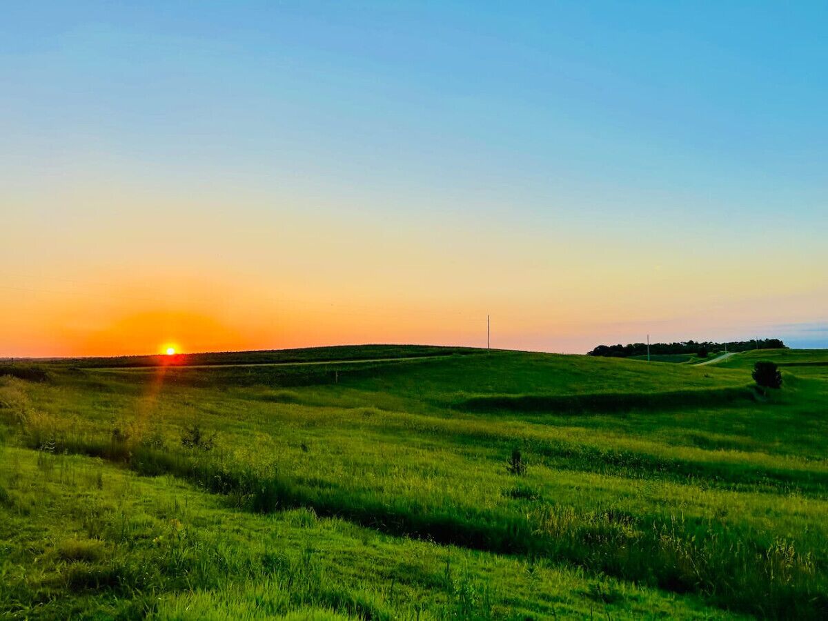 A grassy field with a clear sky at sunset.