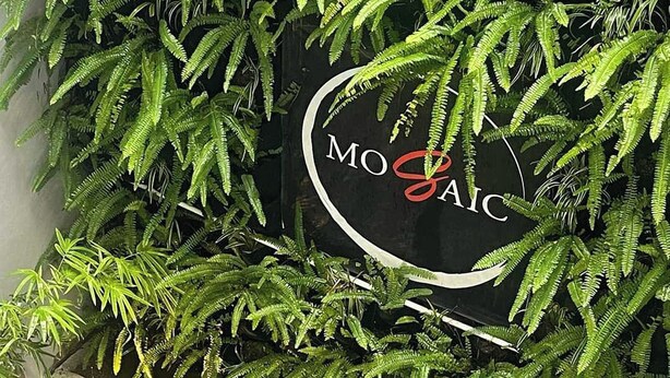 A wall with a sign that reads "MOSAIC" surrounded by green foliage. - Mosaic Liwliwa Hotel Near Beach (San Felipe)