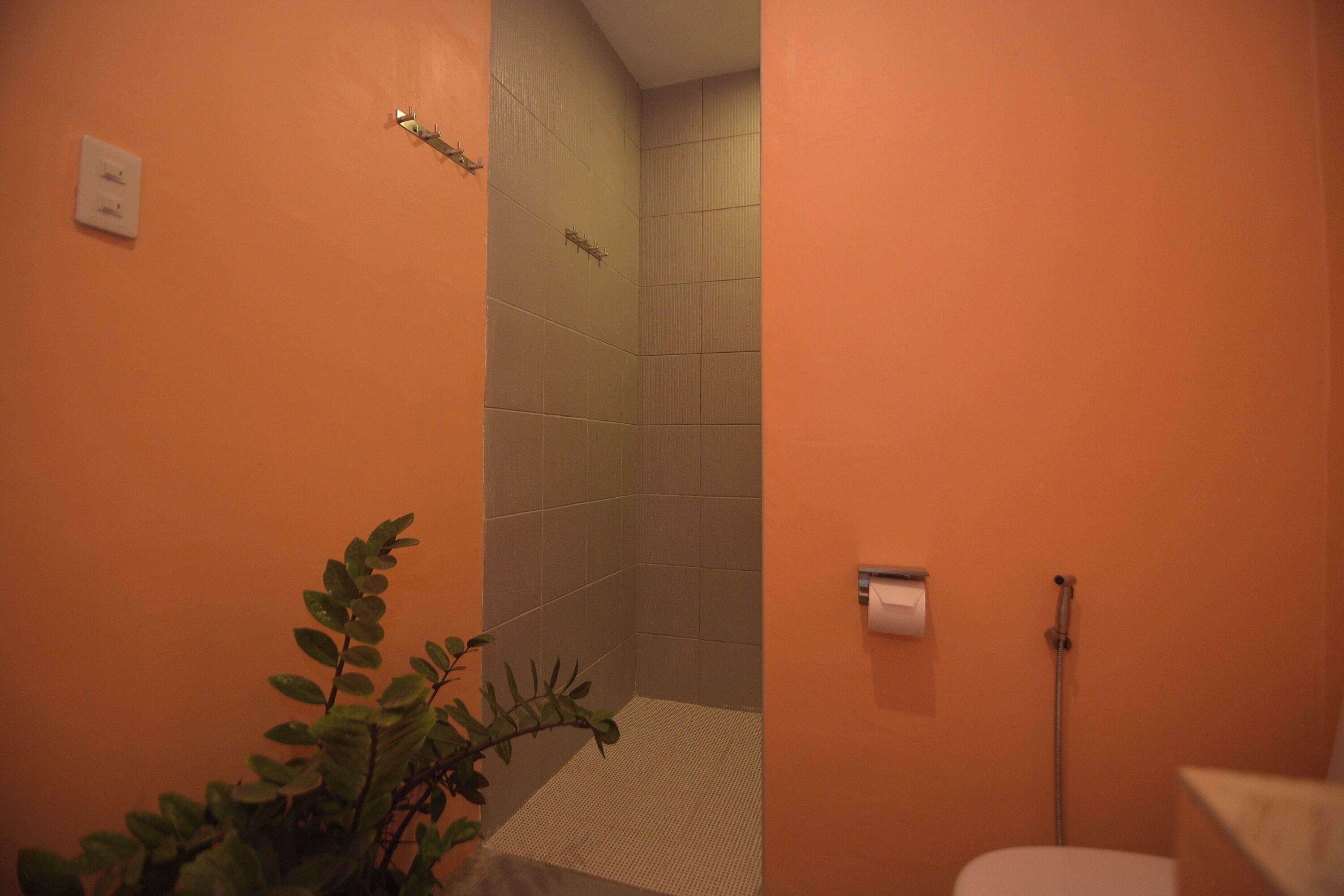 A bathroom with a shower, toilet, and a plant.