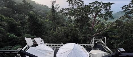 A platform with white canopies, a railing, and a view of a forested area.